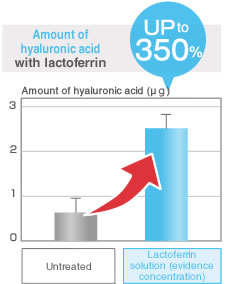 The amount of hyaluronic acid with lactoferrin is up to 350%