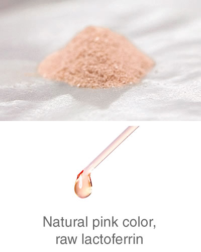 ピンクの天然色をもつ、生ラクトフェリン