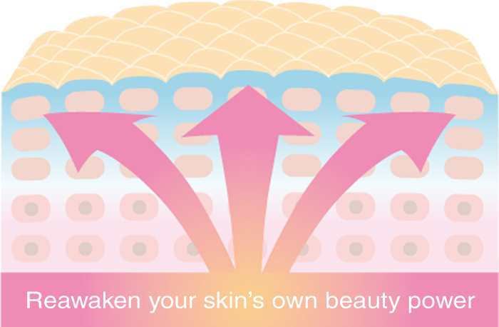Reawaken your skin's own beauty power.